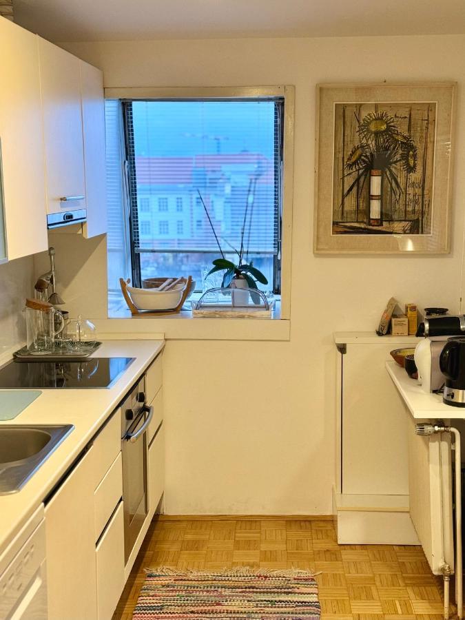 The Rooftop Apartment 卢布尔雅那 外观 照片